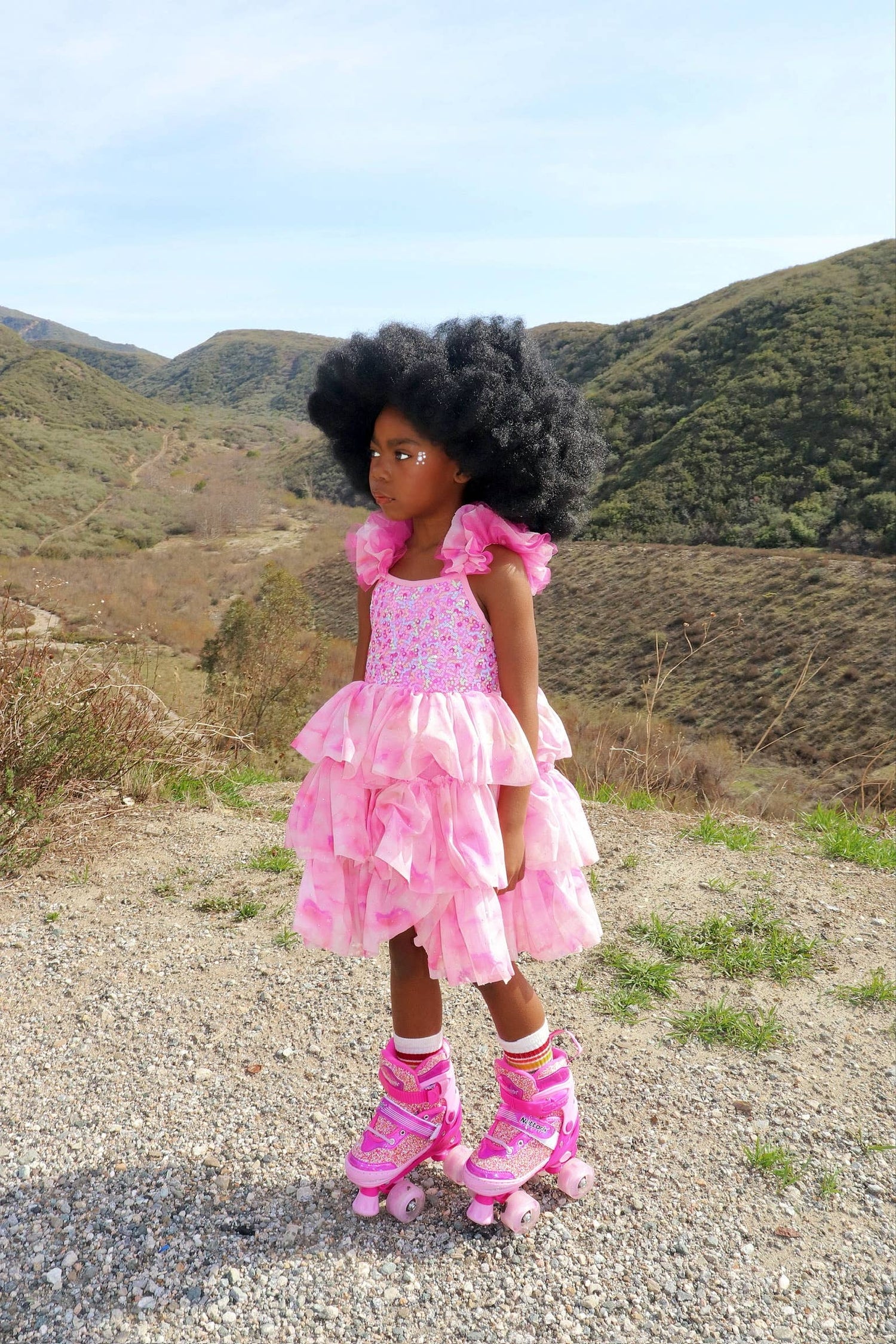 Ombre Pink Sparkle Tulle Dress | Birthday Dress