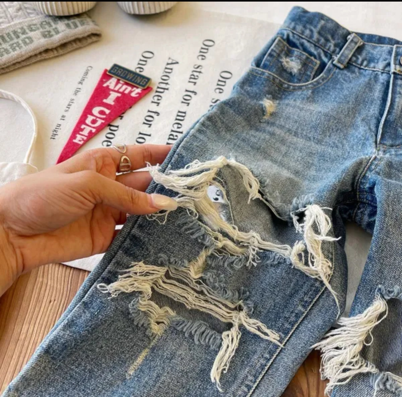 Destroyed Denim